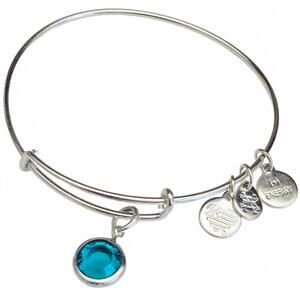 Alex and Ani Birthstone Silver Expandable Bangle Bracelet